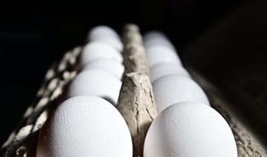 European eggflation slows down as American prices surge under Trump