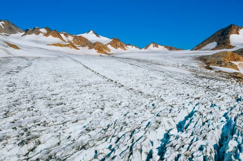 US makes Greenland return after Trump’s failed attempt to buy it