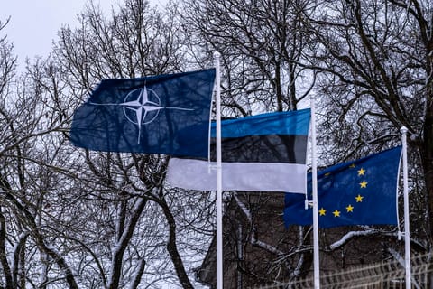 Trump chooses Estonia-born lawyer as ambassador to the Baltic nation