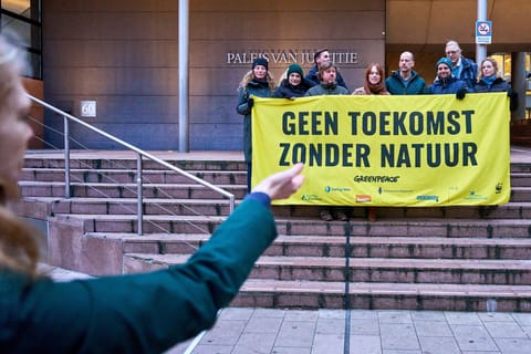 Dutch government ordered to cut nitrogen pollution — or face €10M fine