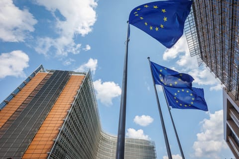 EU’s 2040 climate target to come this week, Commission official says