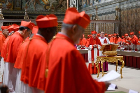 Europe has more cardinals than is fair