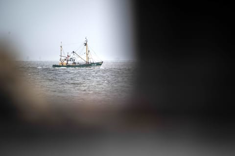 EU conjures up surprise law to govern use of ocean resources
