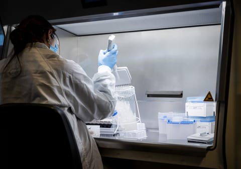Dutch government plans to screen scientists for national security risks